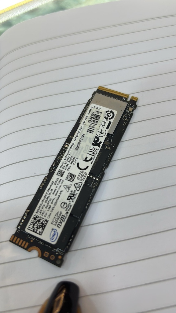 M.2 256 SSD Disk