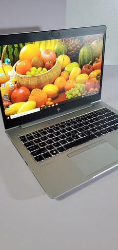 HP EliteBook 745 G6 